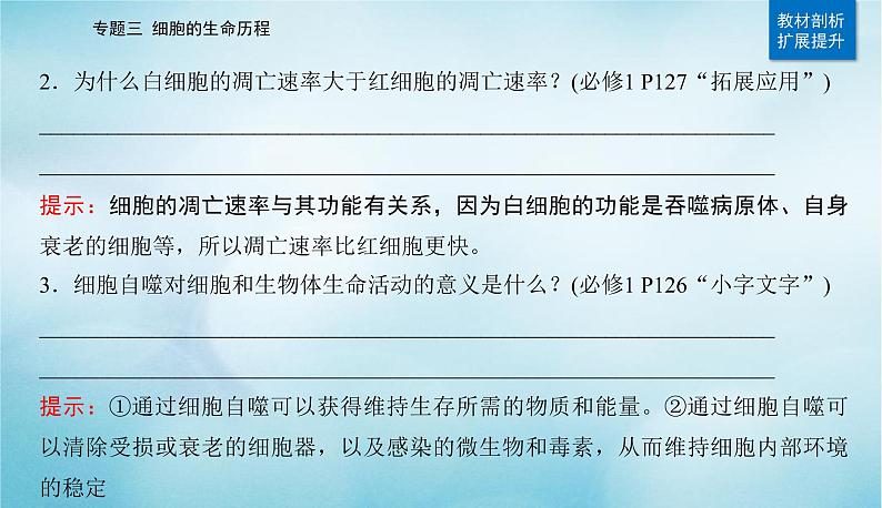 2023届高考生物二轮复习细胞的生命历程(含减数分裂和受精作用)课件第4页