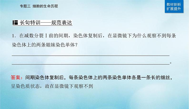 2023届高考生物二轮复习细胞的生命历程(含减数分裂和受精作用)课件第5页