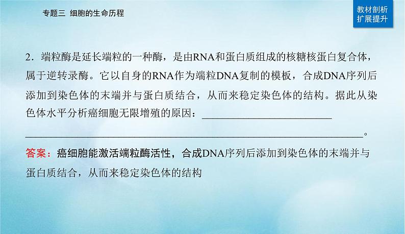 2023届高考生物二轮复习细胞的生命历程(含减数分裂和受精作用)课件第6页