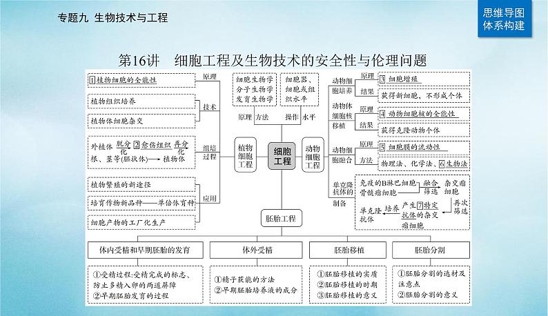 2023届高考生物二轮复习细胞工程及生物技术的安全性与伦理问题课件02