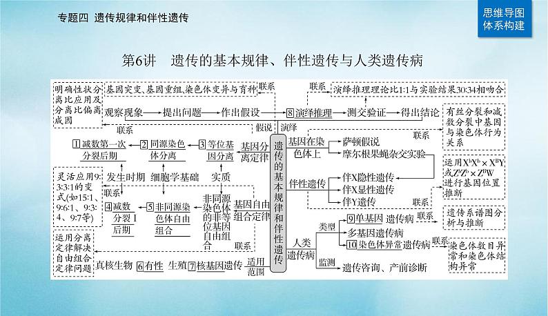 2023届高考生物二轮复习遗传的基本规律、伴性遗传与人类遗传病课件第2页