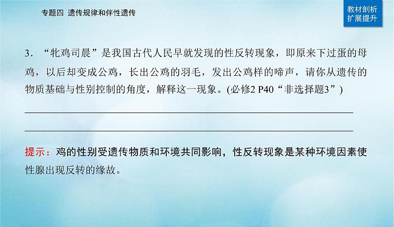 2023届高考生物二轮复习遗传的基本规律、伴性遗传与人类遗传病课件第4页