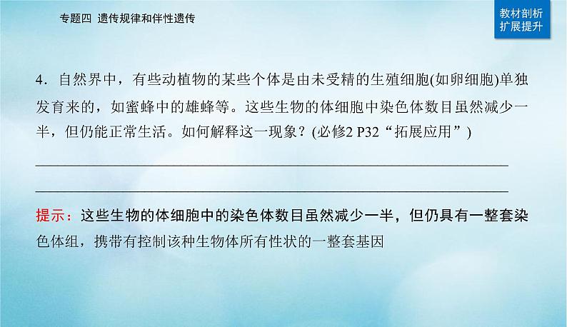 2023届高考生物二轮复习遗传的基本规律、伴性遗传与人类遗传病课件第5页