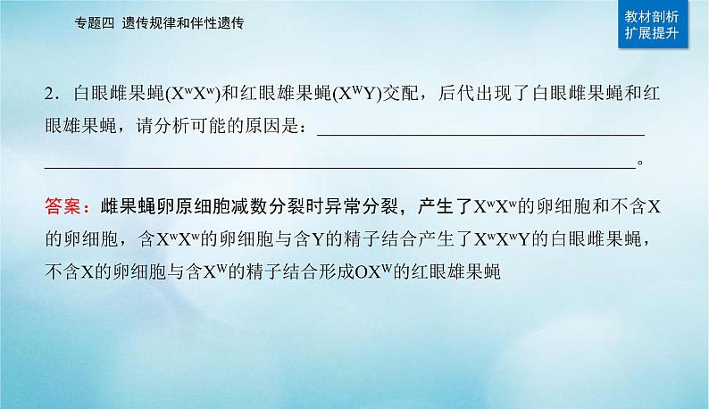 2023届高考生物二轮复习遗传的基本规律、伴性遗传与人类遗传病课件第7页