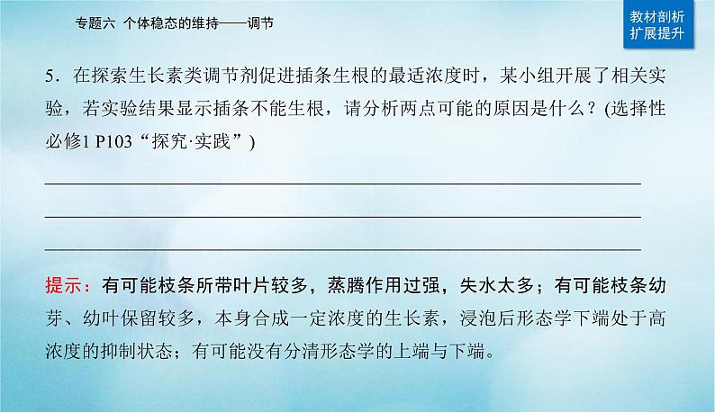 2023届高考生物二轮复习植物的激素调节课件第5页