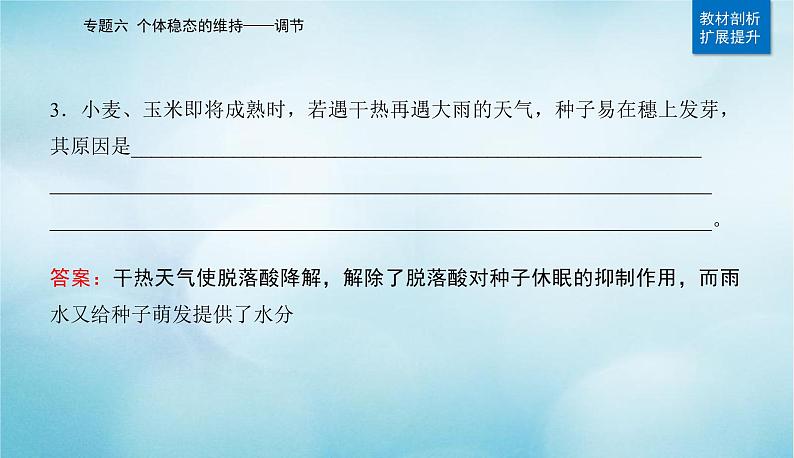 2023届高考生物二轮复习植物的激素调节课件第8页