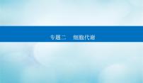 2023届高考生物二轮复习高考命题热点二酶的相关实验课件