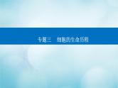 2023届高考生物二轮复习高考命题热点四细胞分裂与可遗传变异的关系课件