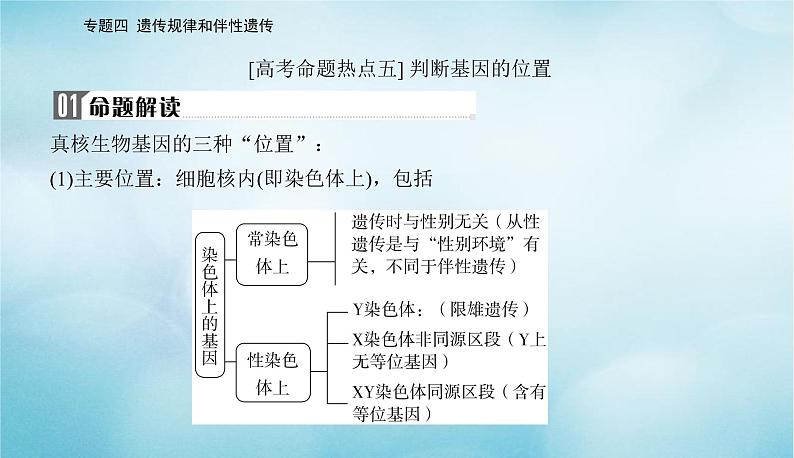 2023届高考生物二轮复习高考命题热点五判断基因的位置课件第2页