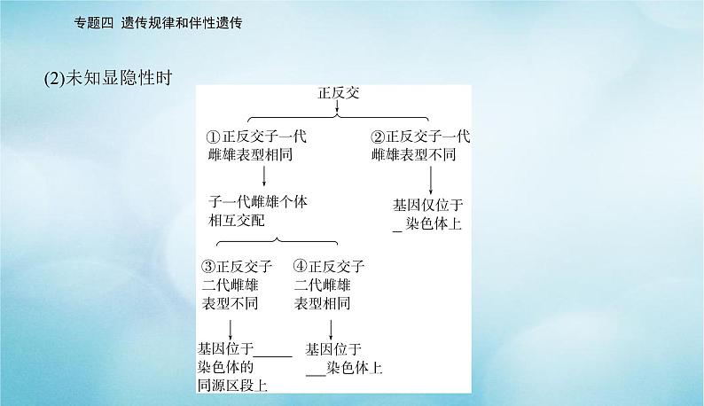 2023届高考生物二轮复习高考命题热点五判断基因的位置课件第3页