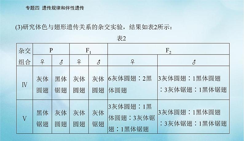 2023届高考生物二轮复习高考命题热点五判断基因的位置课件第7页