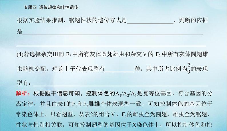 2023届高考生物二轮复习高考命题热点五判断基因的位置课件第8页