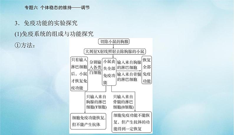 2023届高考生物二轮复习高考命题热点七生命活动调节中的相关实验课件第7页