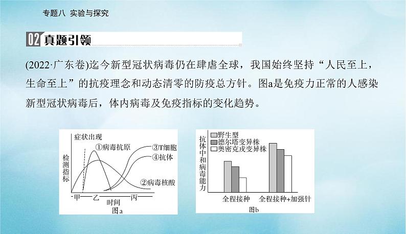 2023届高考生物二轮复习高考命题热点九核酸检测、抗体检测、抗原检测课件第5页