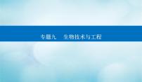 2023届高考生物二轮复习高考命题热点十荧光定量PCR技术课件