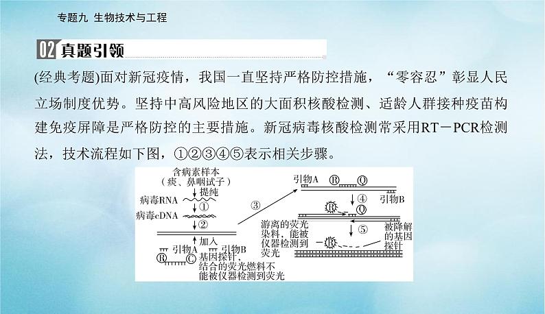 2023届高考生物二轮复习高考命题热点十荧光定量PCR技术课件04