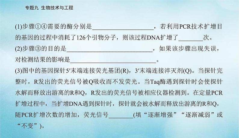 2023届高考生物二轮复习高考命题热点十荧光定量PCR技术课件05