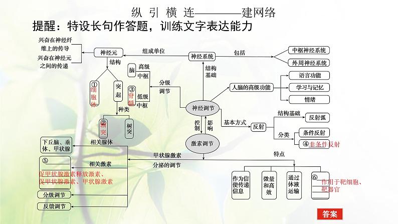 2023届高考生物二轮复习动物生命活动的调节课件第5页