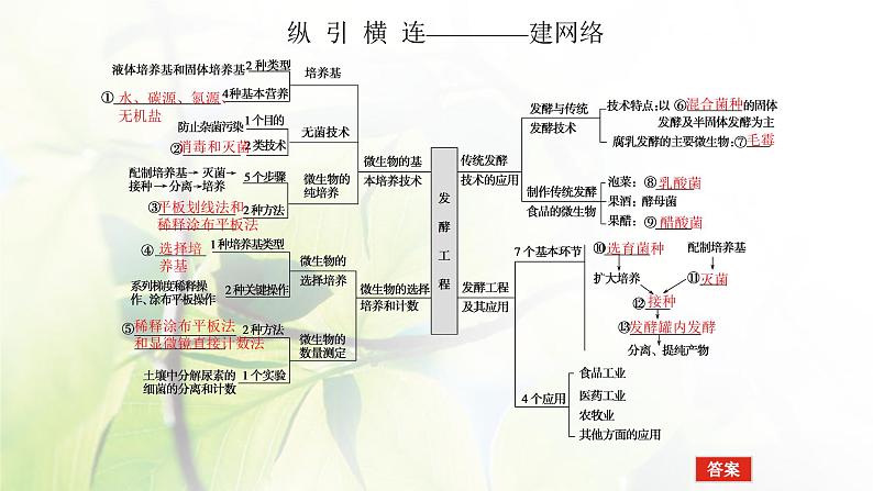 2023届高考生物二轮复习发酵工程课件第4页