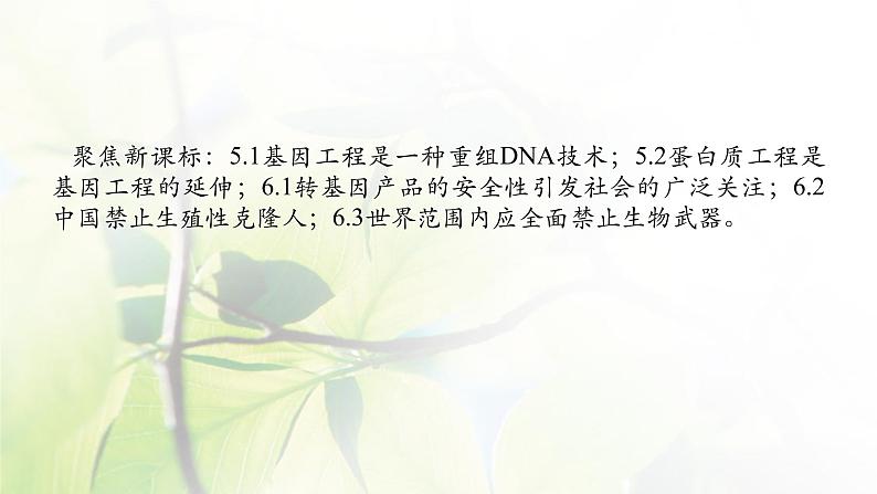 2023届高考生物二轮复习基因工程和生物技术的安全性与伦理问题课件02