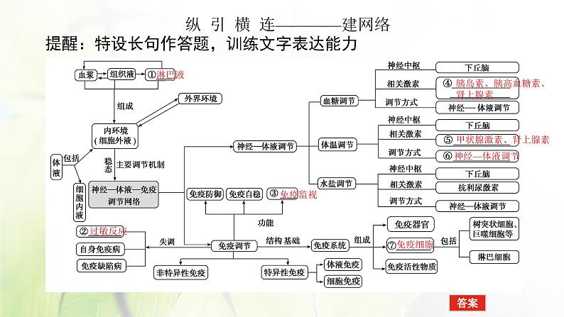 2023届高考生物二轮复习人体的内环境与稳态课件第5页