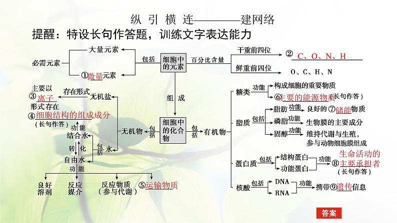 2023届高考生物二轮复习生命系统的物质基础课件课件第4页