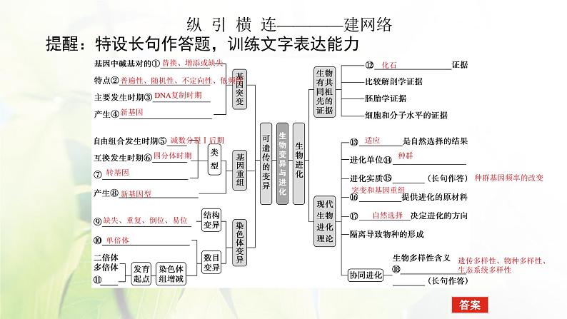 2023届高考生物二轮复习生物变异与进化课件第4页