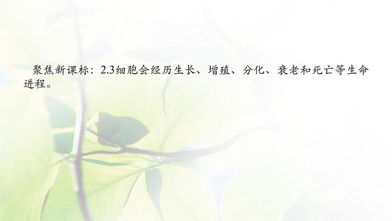 2023届高考生物二轮复习细胞的分化、衰老、死亡和癌变课件02