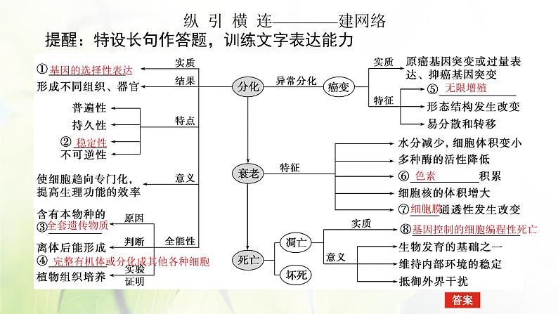 2023届高考生物二轮复习细胞的分化、衰老、死亡和癌变课件04