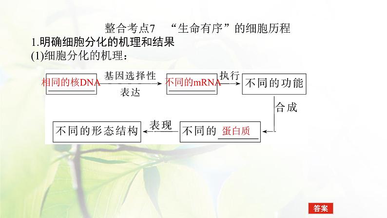 2023届高考生物二轮复习细胞的分化、衰老、死亡和癌变课件08