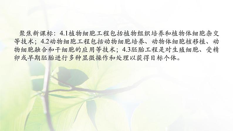2023届高考生物二轮复习细胞工程课件第2页