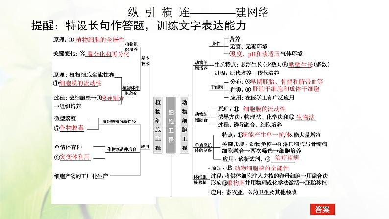 2023届高考生物二轮复习细胞工程课件第4页