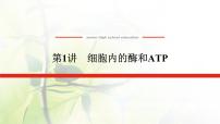 2023届高考生物二轮复习细胞内的酶和ATP课件