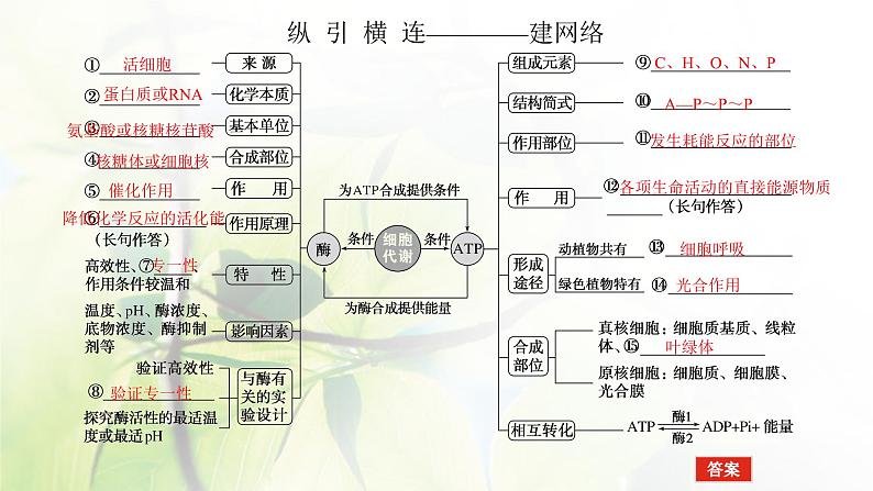 2023届高考生物二轮复习细胞内的酶和ATP课件第4页