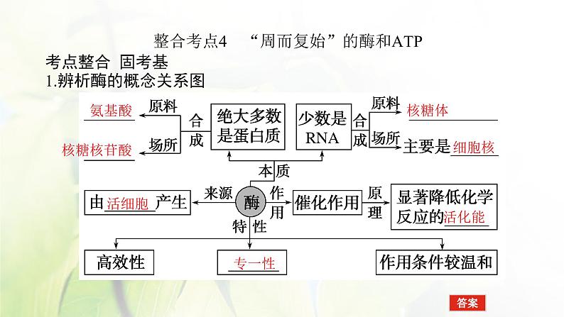 2023届高考生物二轮复习细胞内的酶和ATP课件第8页