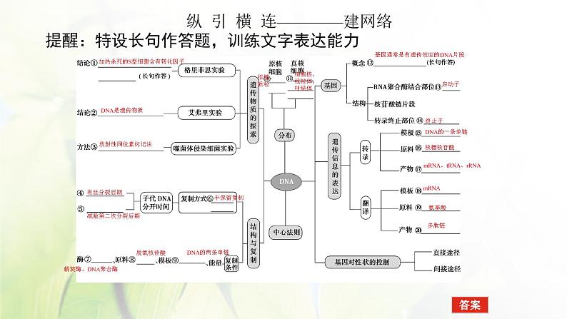 2023届高考生物二轮复习遗传的分子基础课件第4页