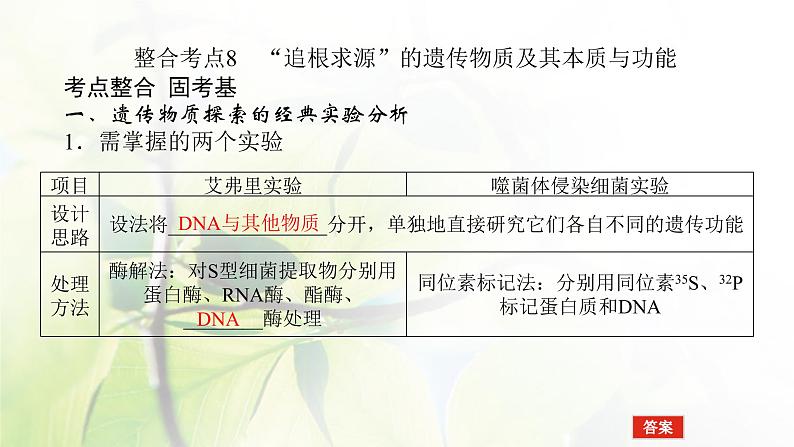 2023届高考生物二轮复习遗传的分子基础课件第8页