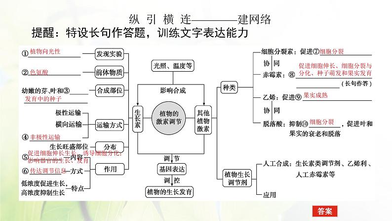 2023届高考生物二轮复习植物生命活动的调节课件第4页