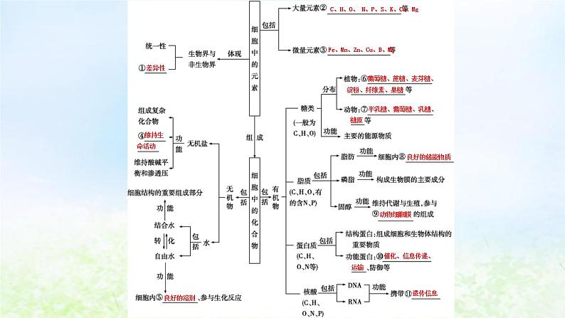 2023届高考生物二轮复习第1讲细胞的分子组成课件第4页