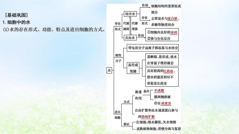 2023届高考生物二轮复习第1讲细胞的分子组成课件第8页