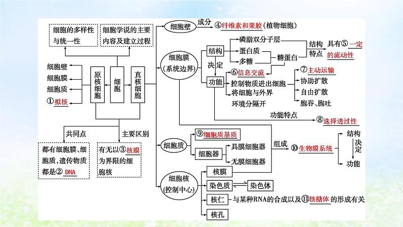 2023届高考生物二轮复习第2讲细胞的结构基础课件04