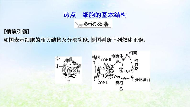 2023届高考生物二轮复习第2讲细胞的结构基础课件06