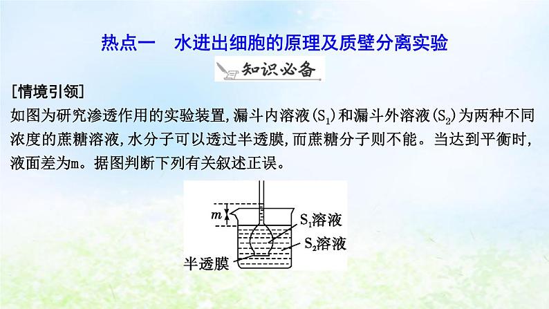 2023届高考生物二轮复习第3讲物质跨膜运输的方式课件第6页