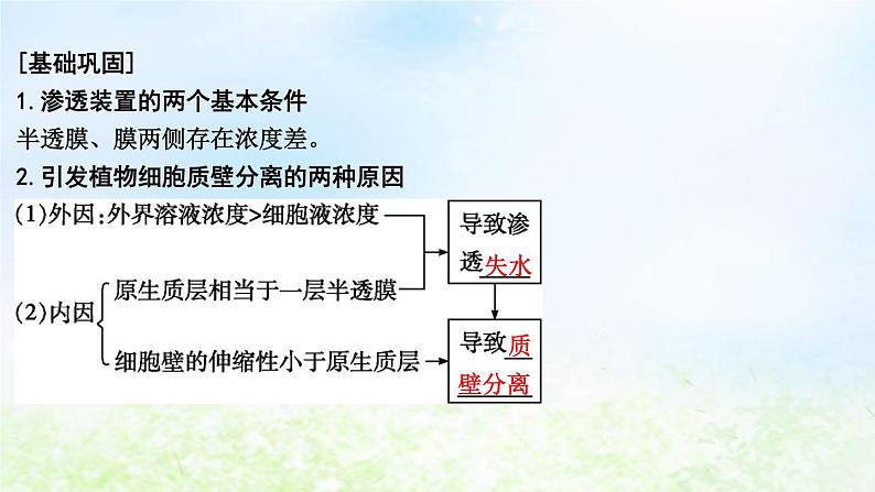 2023届高考生物二轮复习第3讲物质跨膜运输的方式课件第8页