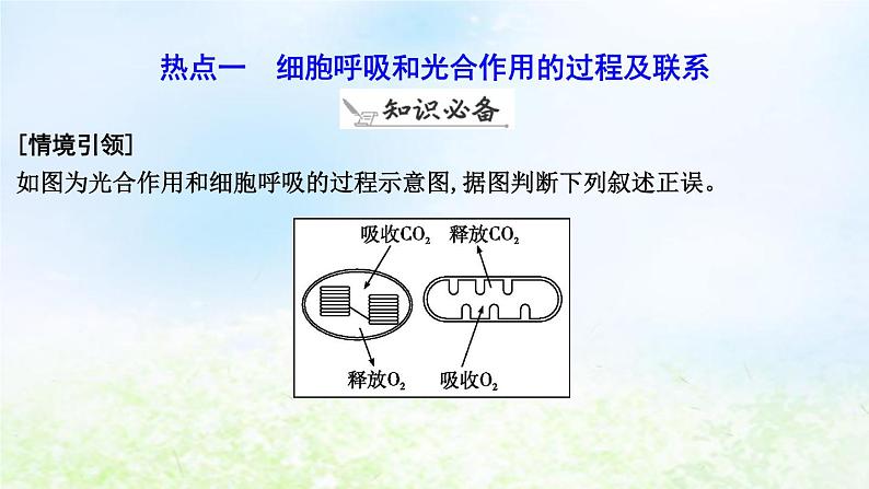 2023届高考生物二轮复习第5讲细胞呼吸和光合作用课件第6页