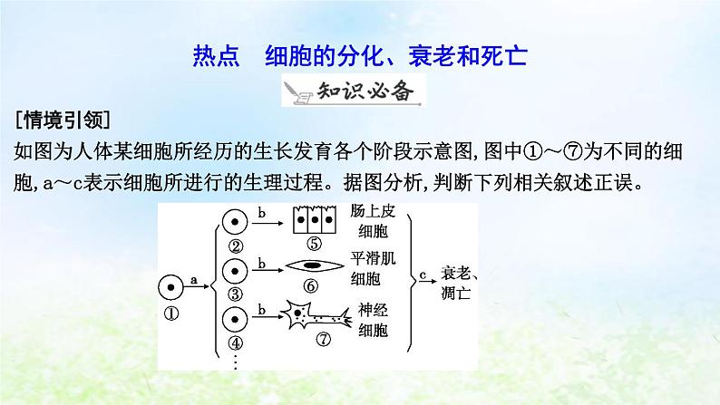 2023届高考生物二轮复习第7讲细胞的分化、衰老和死亡课件06