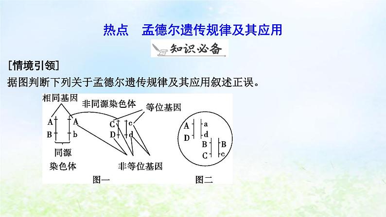 2023届高考生物二轮复习第8讲孟德尔遗传规律及其应用课件06