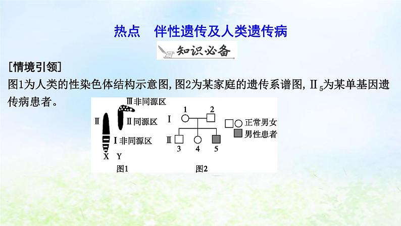 2023届高考生物二轮复习第9讲伴性遗传与人类遗传病课件第6页