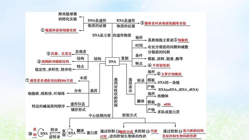 2023届高考生物二轮复习第10讲遗传的分子基础课件04