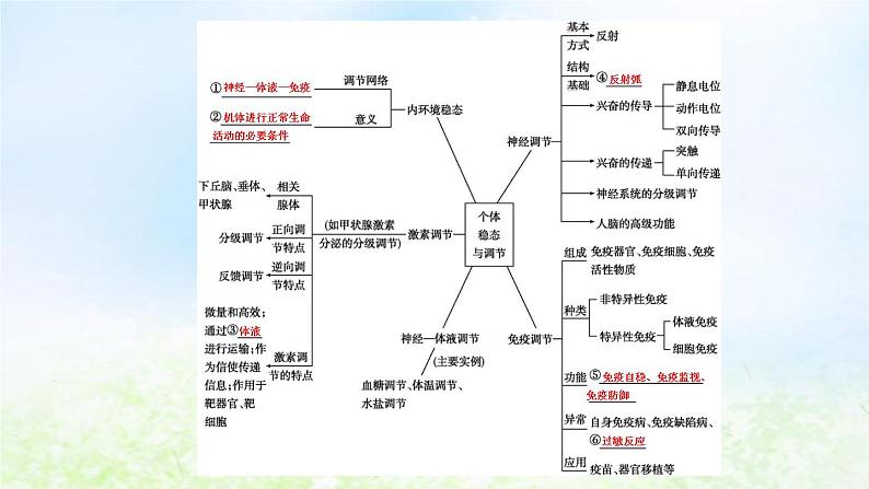 2023届高考生物二轮复习第12讲人体和动物的稳态与调节课件第4页